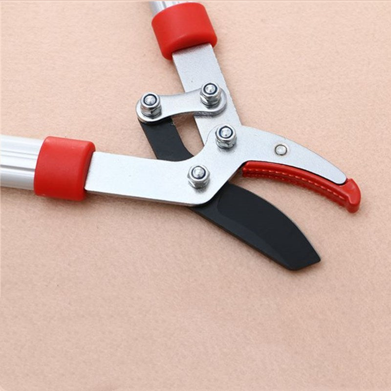 Gardening branches construction/scissors