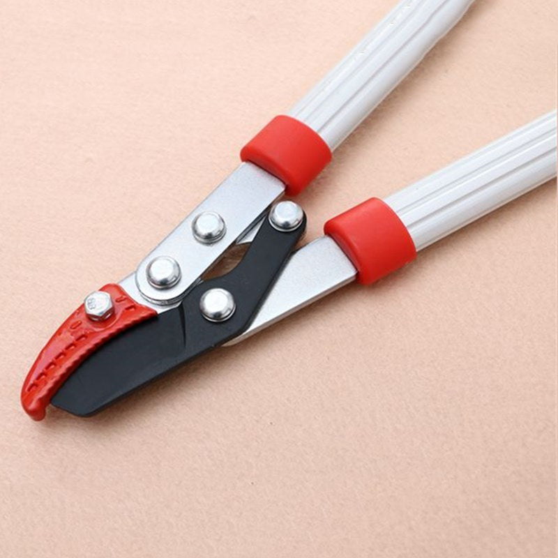 Gardening branches construction/scissors