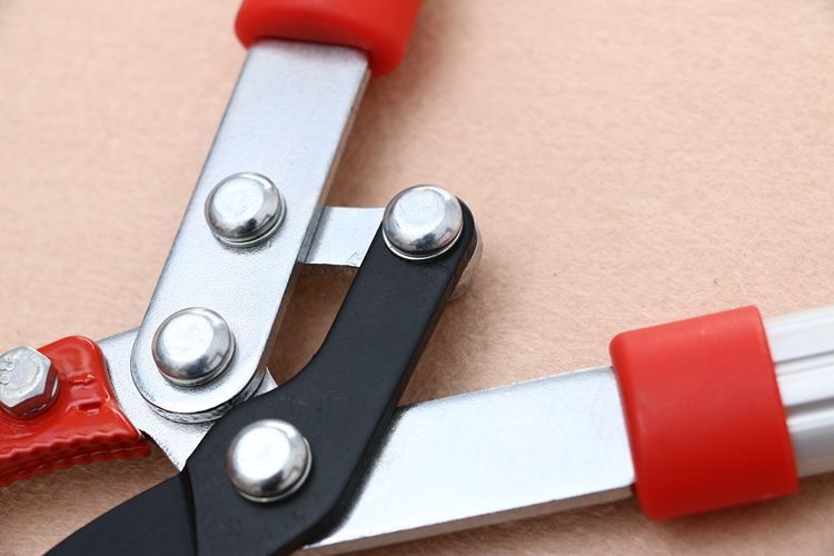 Gardening branches construction/scissors